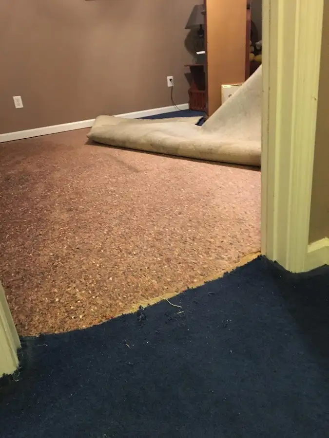 Carpet pad removal revealing water damage during Water Mitigation Services in Beekmantown