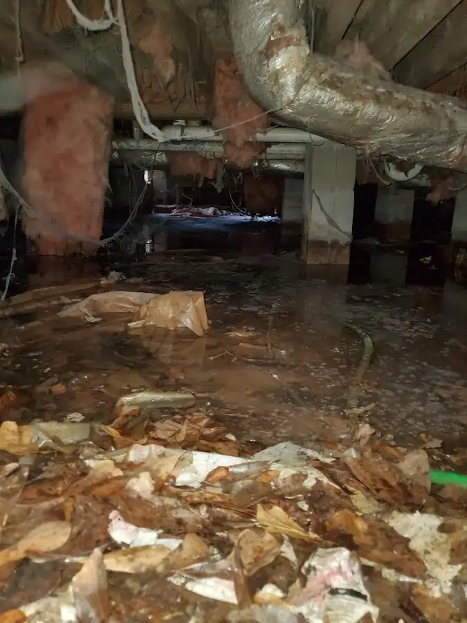 Crawl space flood assessment for Leak Detection & Repair in Beekmantown