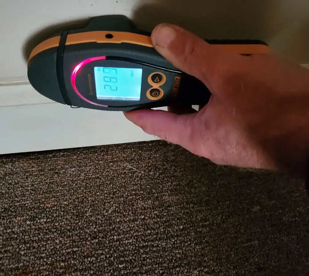 Moisture detection at baseboard during Sewage Cleanup & Sanitation in Beekmantown